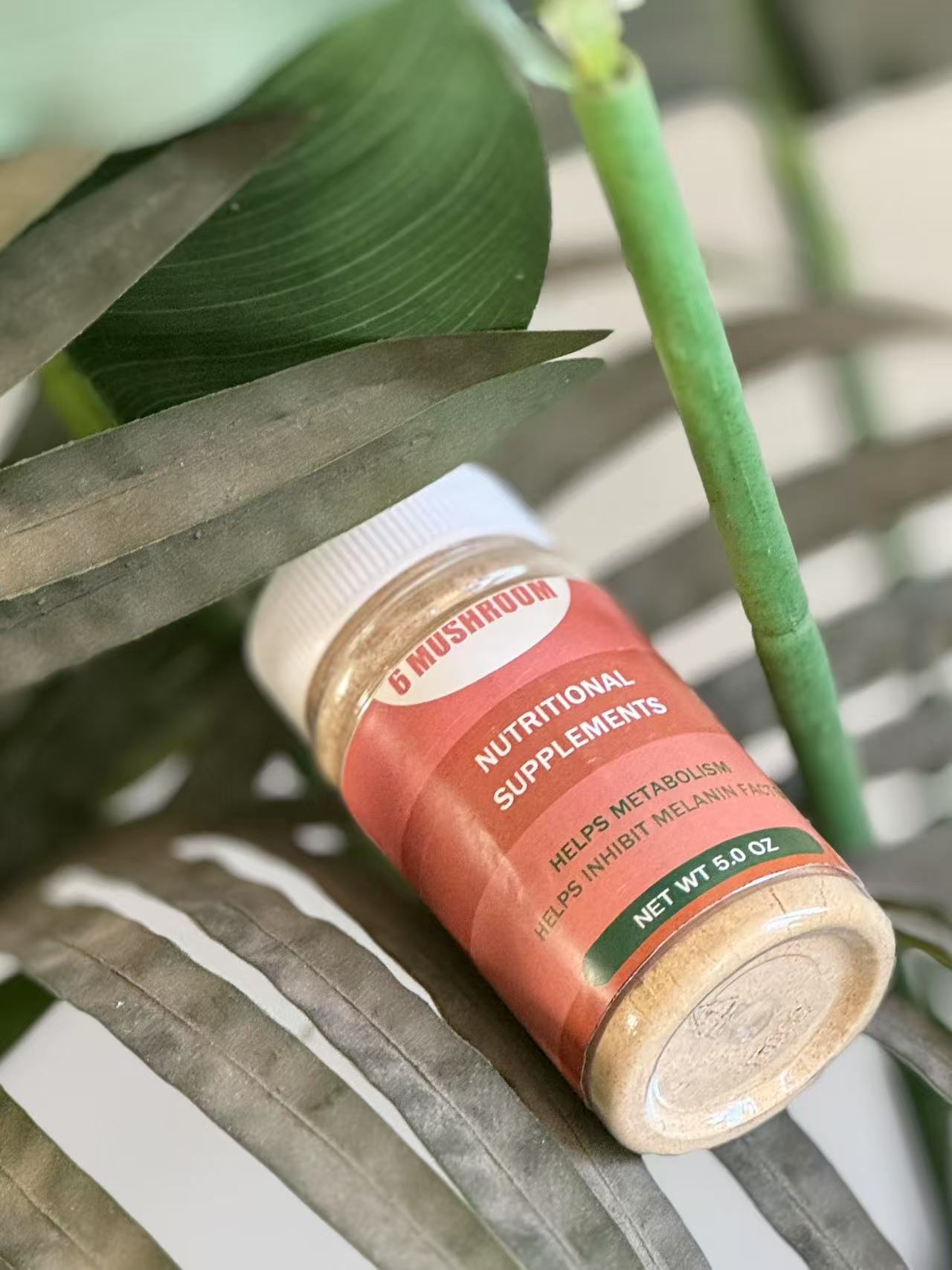 【6 Mushroom】Nutritional supplements,Gluten Free, Dairy Free, Soy Free